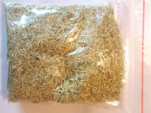 Cancer Bush (Sutherlandia) dried 70g Bag Tea cut
